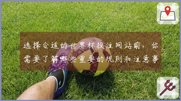 选择合适的世界杯投注网站前，你需要了解哪些重要的规则和注意事项？