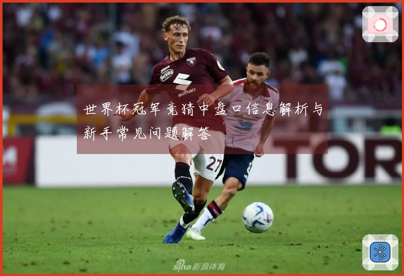世界杯冠军竞猜中盘口信息解析与新手常见问题解答
