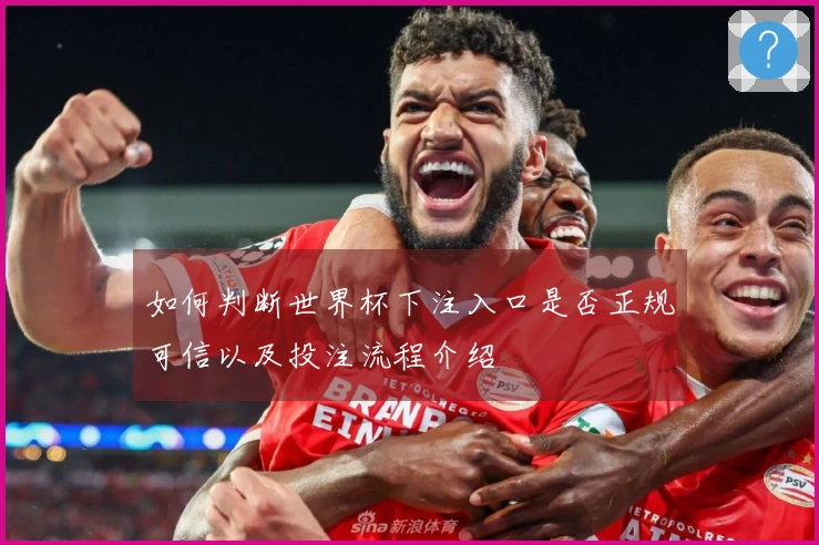 如何判断世界杯下注入口是否正规可信以及投注流程介绍
