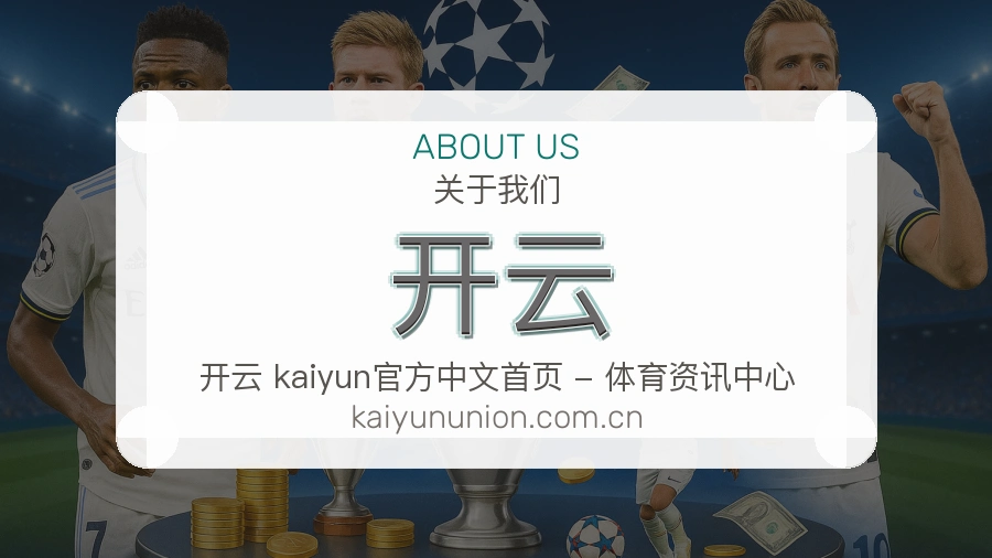 关于开云团队